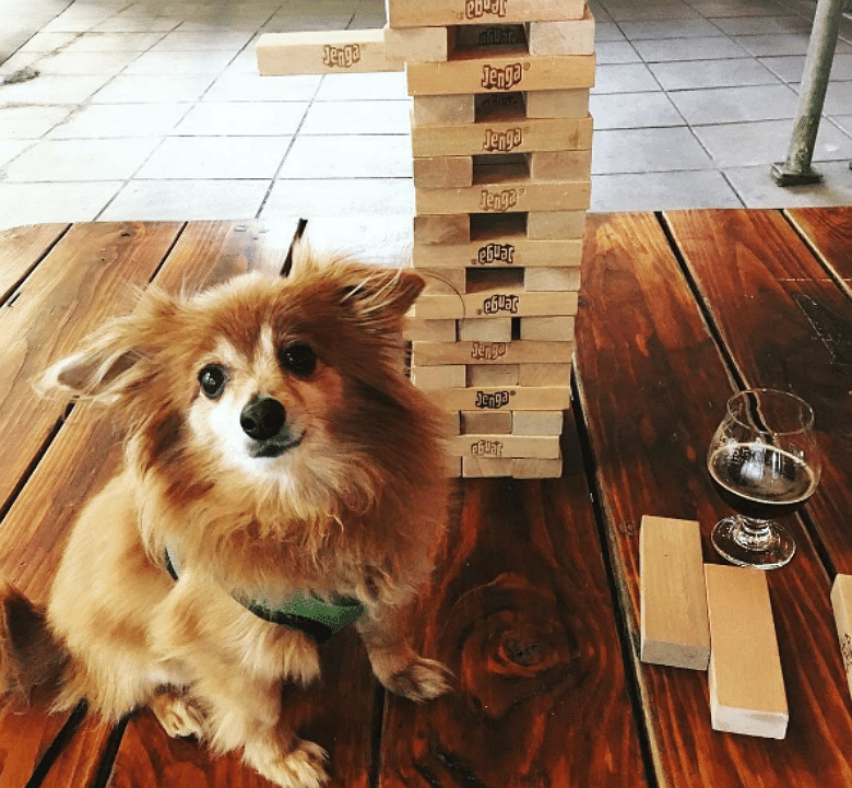 Jenga, Dogs and Beer Galore at Manhattan's Clinton Hall