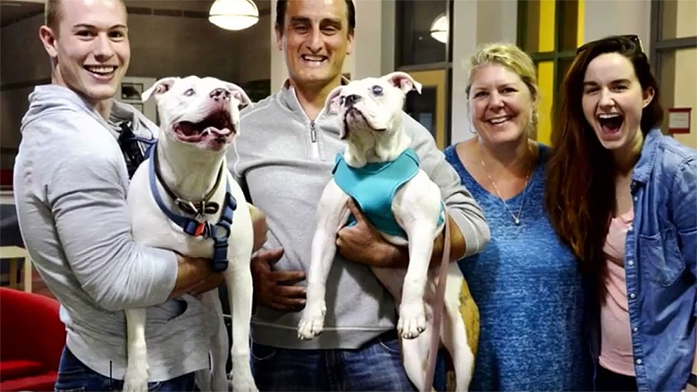 couple adopts blind puppy for their blind dog