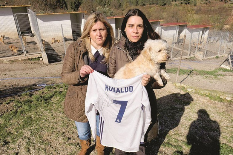 Soccer Star Cristiano Ronaldo Donates Jersey to Help Keep Dog Shelter Open