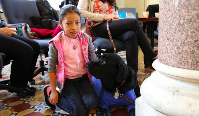 Program That Put Dogs in Classroom Deemed a Smashing Success, Expands to Other Locations