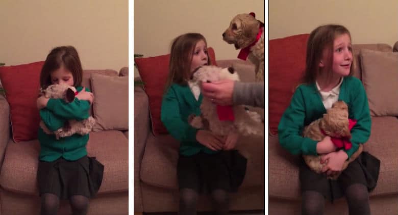 Two pictures of a girl holding a stuffed animal teddy bear.