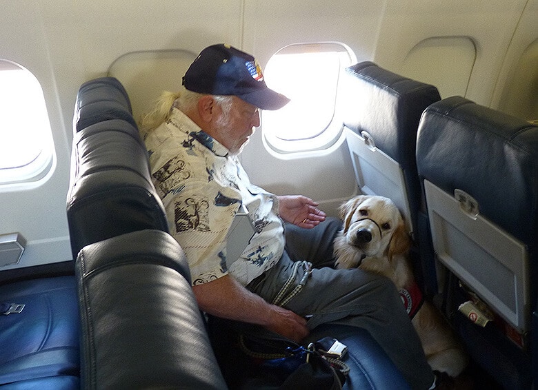 A man sitting on a plane with his dog, adhering to Delta's pet policy.