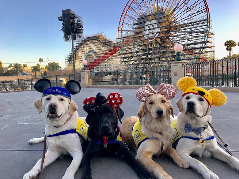 The Story Behind the Adorable Puppies Posing for Pics at Disneyland