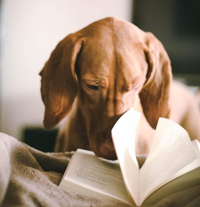 The 7 Books All Dog Parents Need to Read