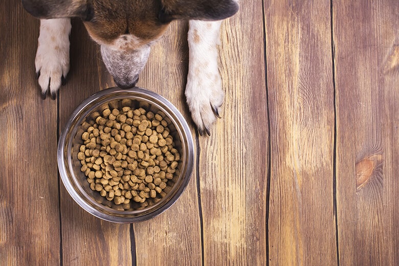 Here S What Is In Dog Food That Causes Allergies And What To Do About It This Dogs Life