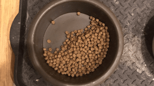 Two bowls of dog food on a table, one filled to the brim while the other leaves dish half full.