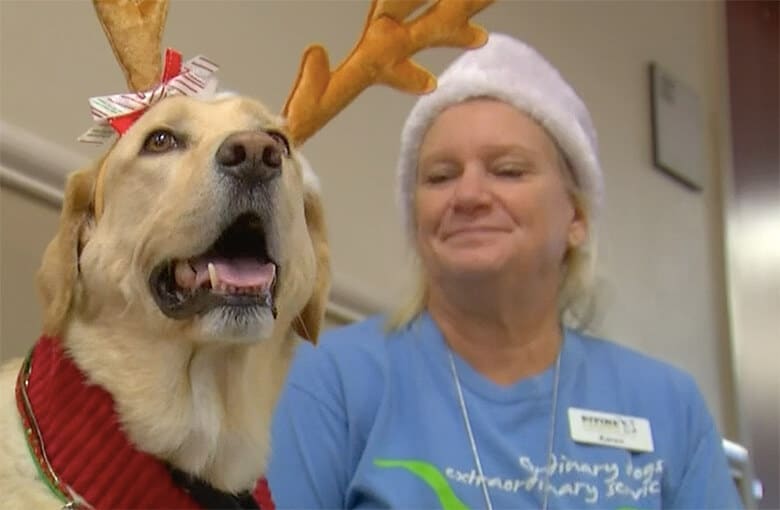 A Holiday Dog Parade Brings Joys to Patients at Hospital