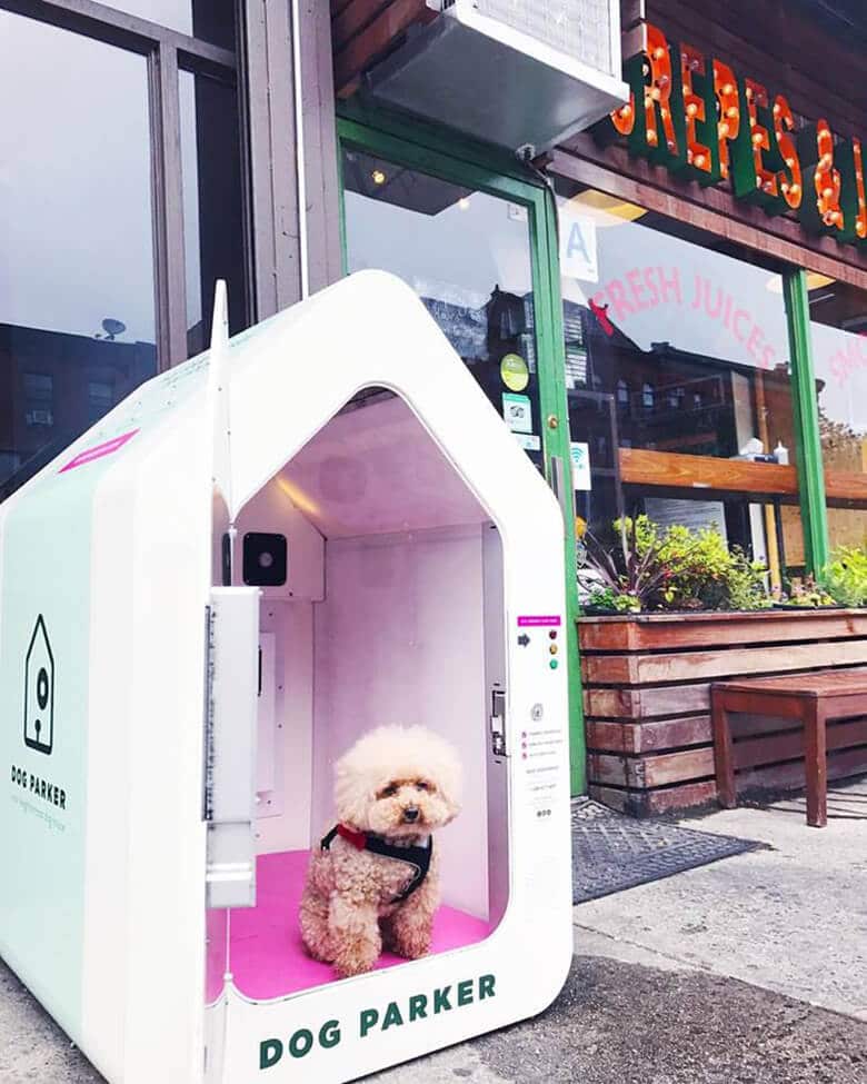 A small dog is sitting in a dog house on the sidewalk in front of a restaurant.