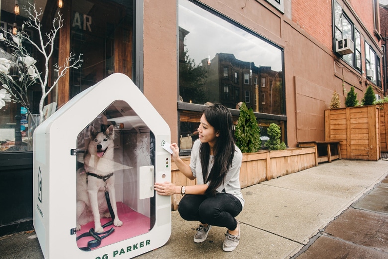 Smart Dog Houses Will Keep Your Pup Safe While You Run Errands