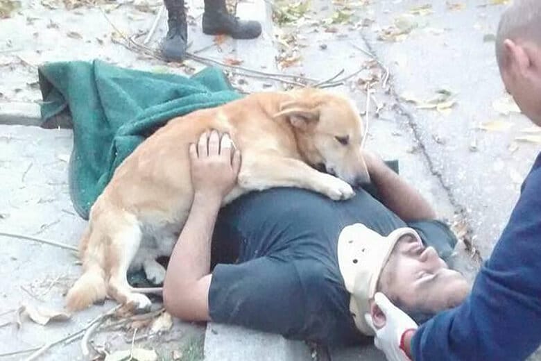 Photo Goes Viral of Loyal Dog Giving Unconscious Owner a Hug While Waiting for Help