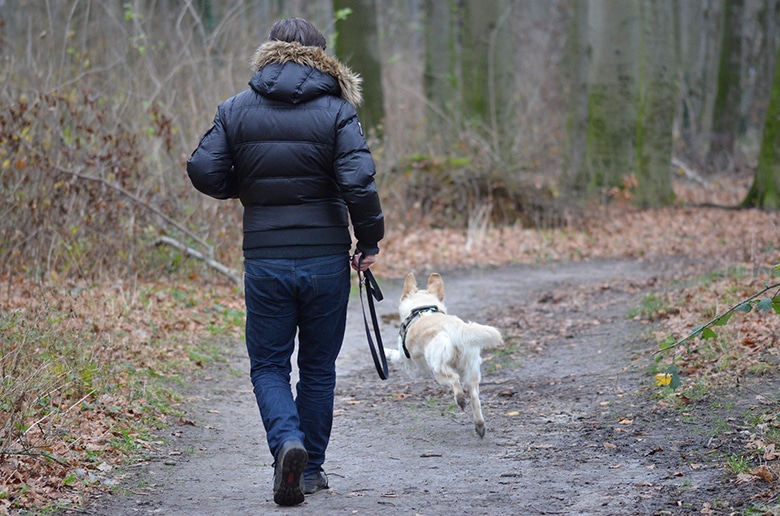 A man enjoying a healthier run with his dog through the scenic woods.