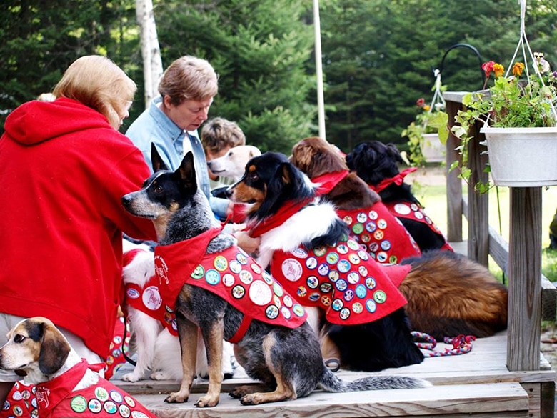 Paw's Honor: Dog Scouts of America Has Pups Earning Badges for Good Deeds