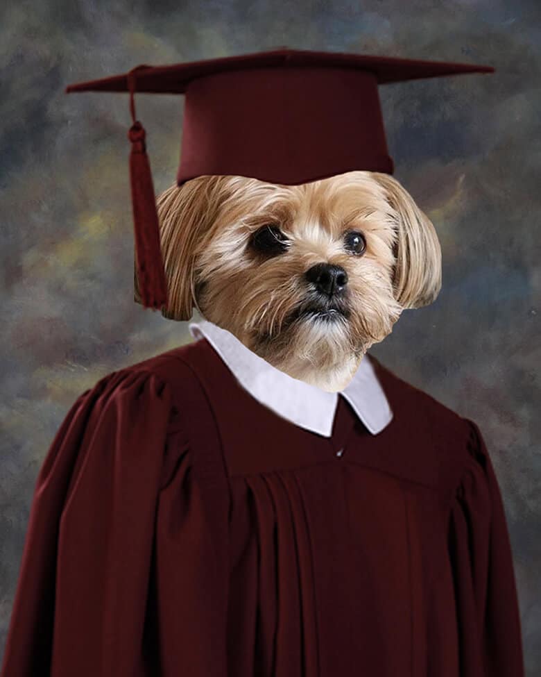 A Dog’s Elementary School Graduation Picture Takes Center Stage in Family Home