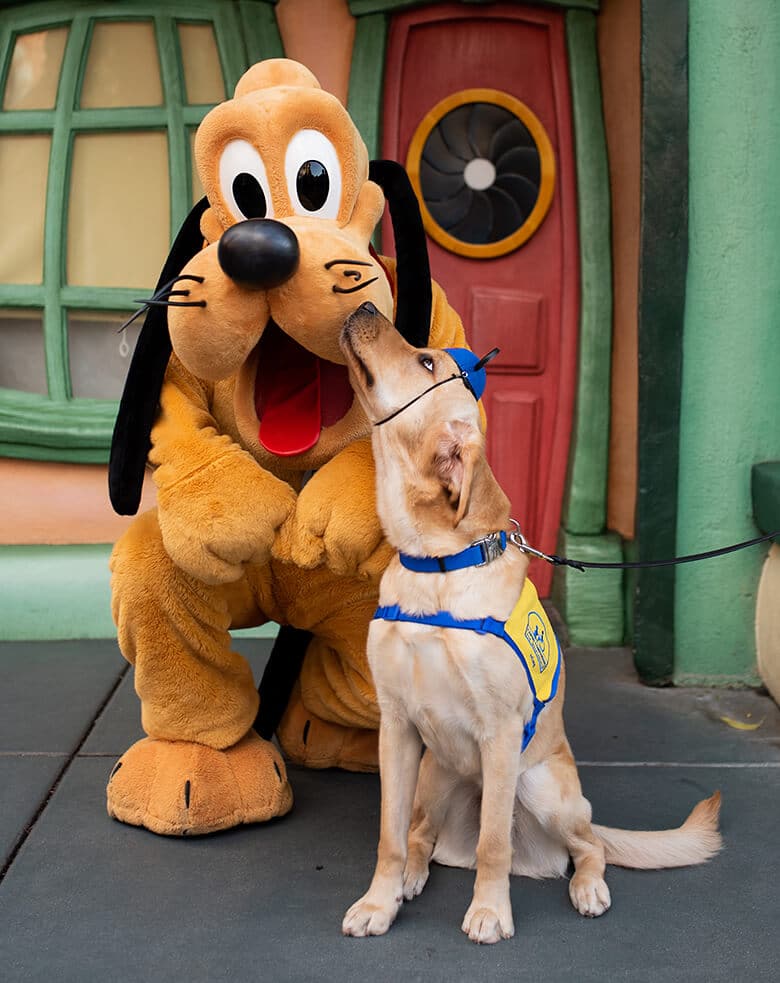 A Very Special Dog Gets to Hang Out With All His Favorite Characters at Disneyland