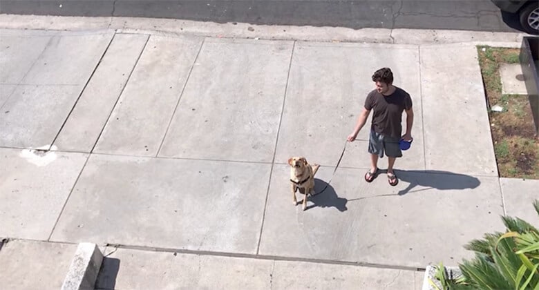 A man walking a dog on a sidewalk while keeping a watchful eye.