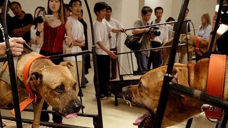 A group of people are observing two dogs in a cage at a famous museum.