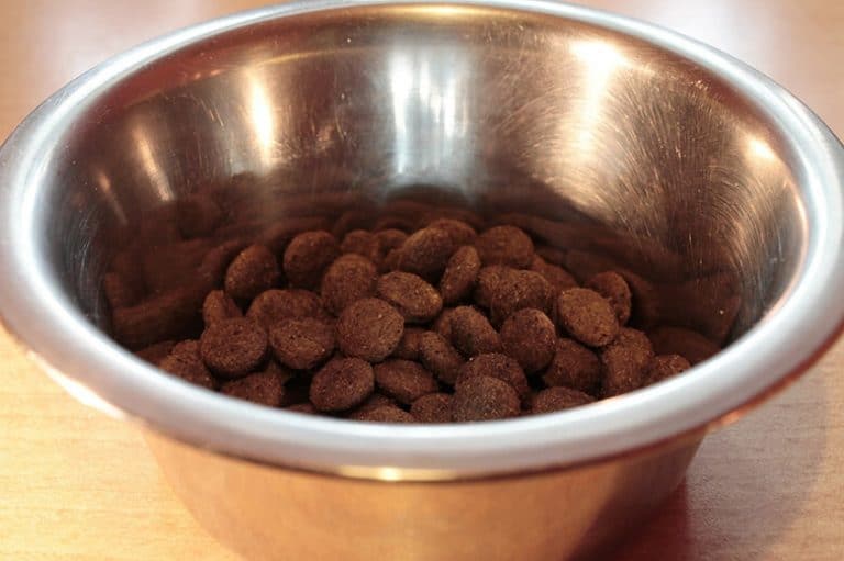 Not Safe to Eat: In Past Two Weeks, 8 Brands Recall Their Dog Foods and