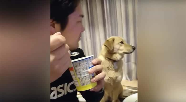 A man is stepping up to a begging dog with a cup of coffee.