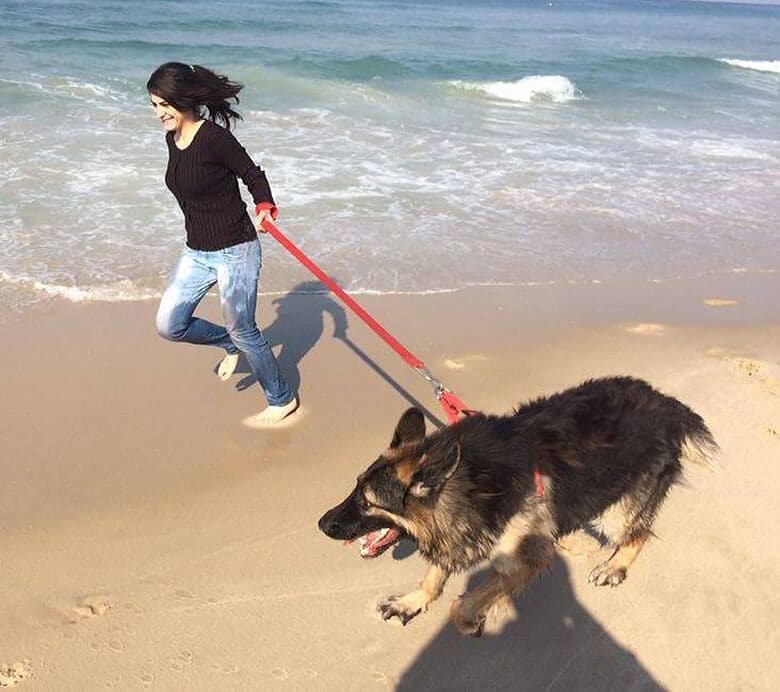 A woman enjoying a relaxing stroll alongside her faithful canine companion on the peaceful shores of Gaza.