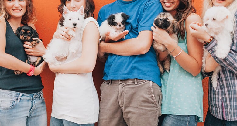 A group of people holding puppies in front of an orange wall, promoting a pet-service company.