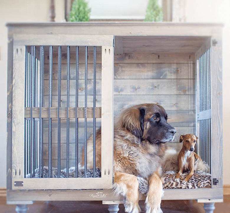 Why People Are Waiting Half a Year for These Custom Dog Kennels