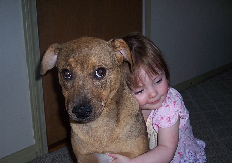 This Picture Explains Exactly How Dogs Feel About Hugs