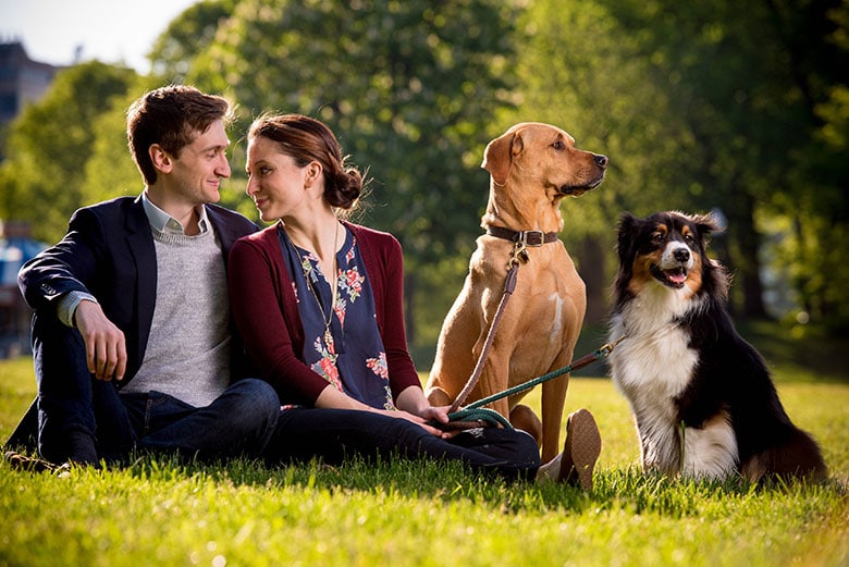 Two Dogs Fall in Love at a Park – and So Do Their Owners