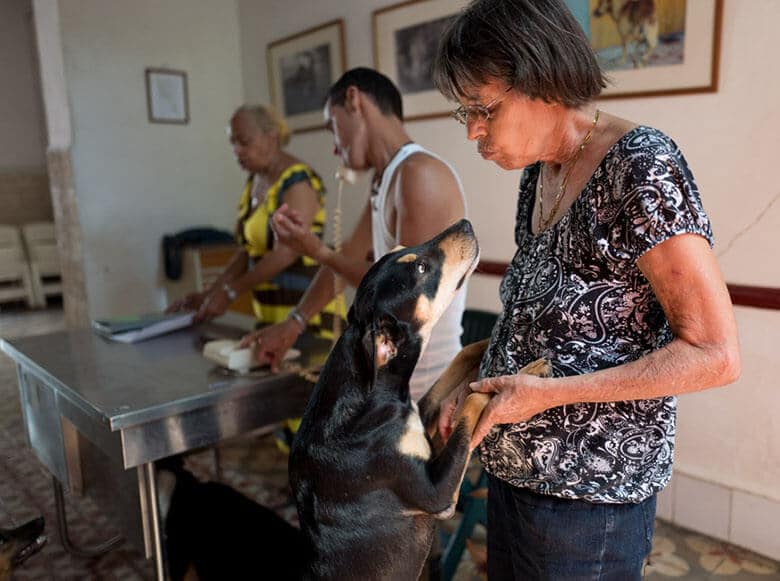 Meet the Woman Saving the Dogs of Cuba