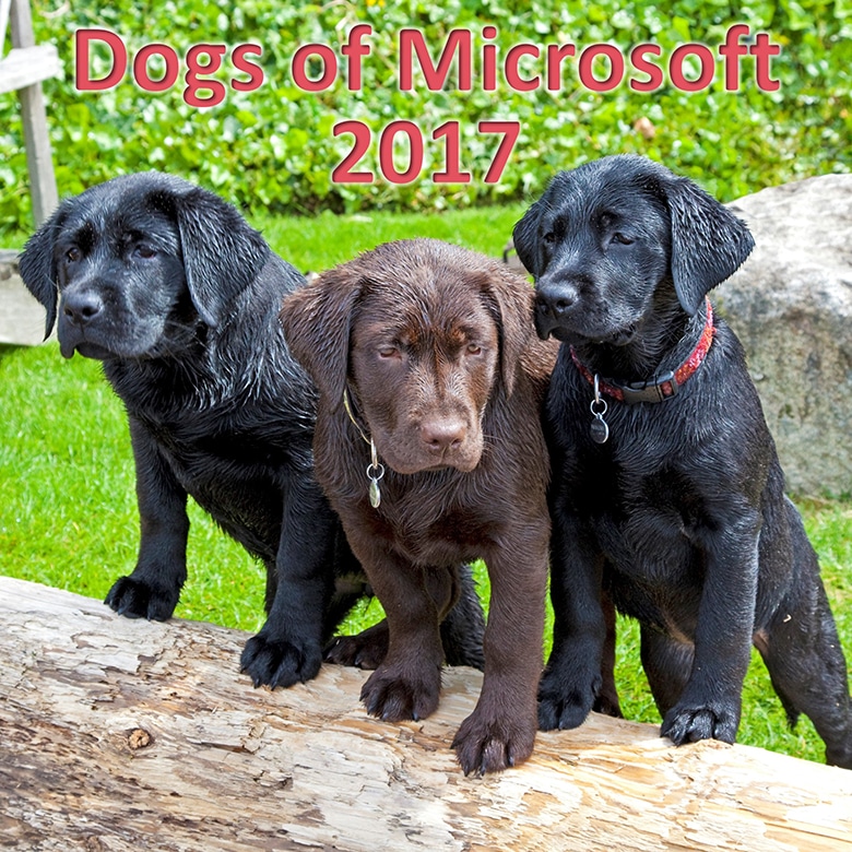 Microsoft Employees Create 'Dogs of Microsoft' Calendar to Raise Money for Animal Organization