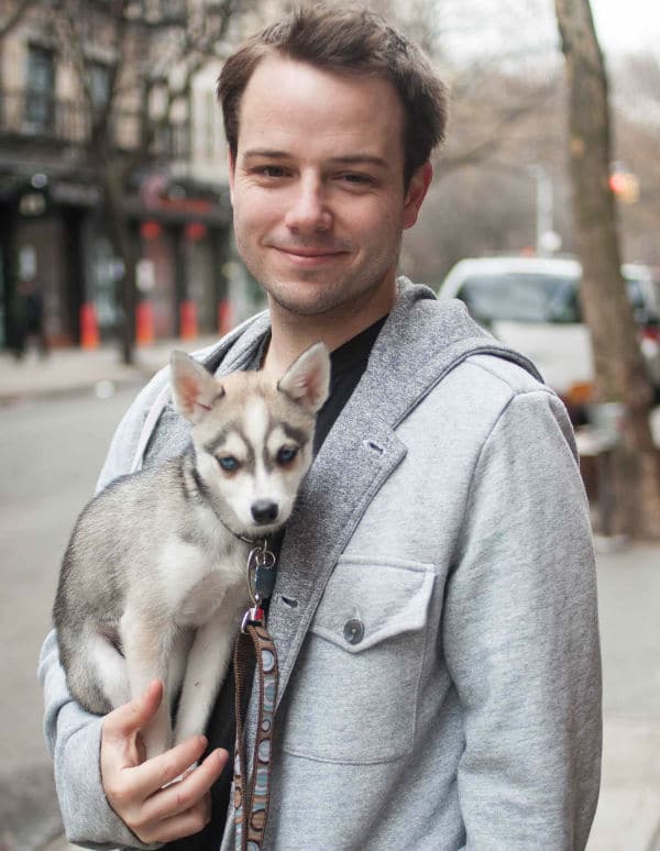 A man holding a husky puppy on the street in the presence of dogs.