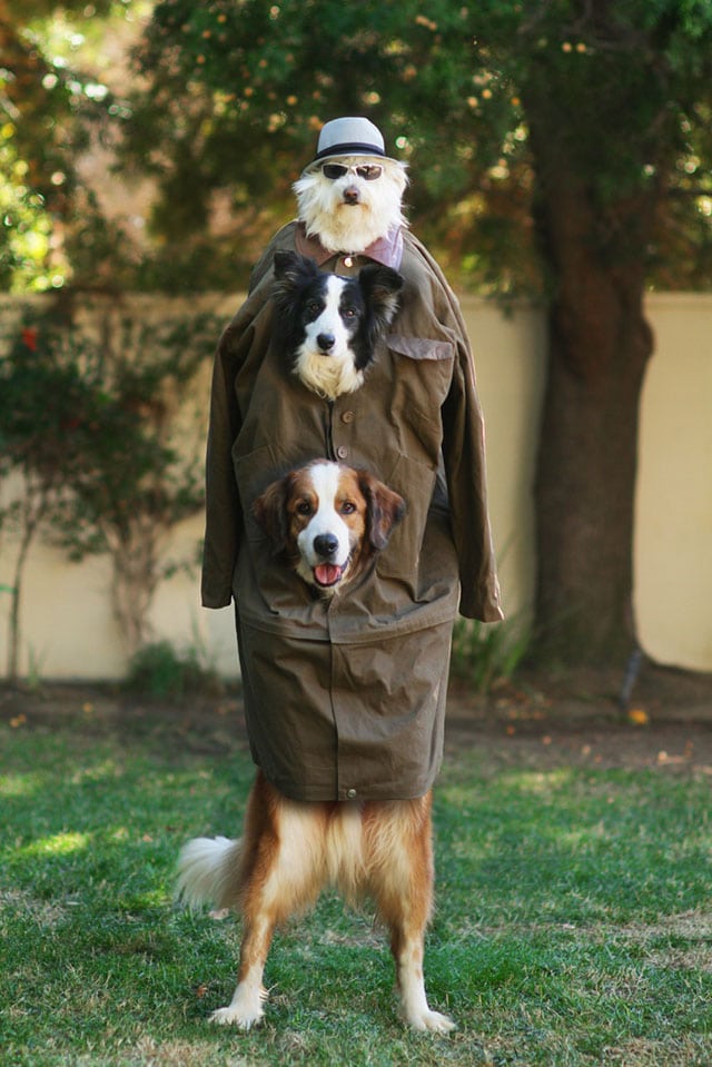 A dog wearing a coat adorned with two dogs on it, participating in the Doritos Crash the Super Bowl competition.