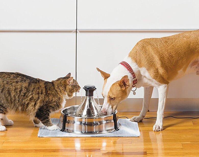 The 5 Best Water Purifiers to Protect Your Dog From Toxic Chemicals Coming From Your Faucets