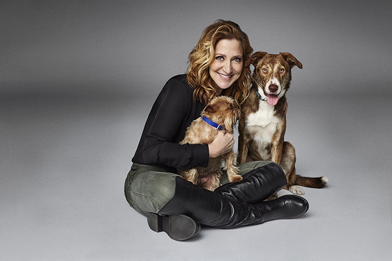 Celebrate the ASPCA's 150th Birthday By Giving Back to the Rescue World