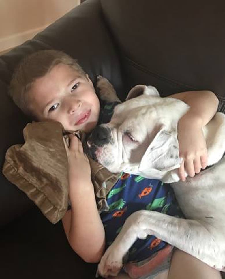 Adopted Deaf Dog and Non-Verbal Boy Share Special Bond, Communicate Using Sign Language