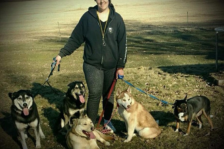 After City Enacts Pet Limit, Owners Forced to Give Up Dogs