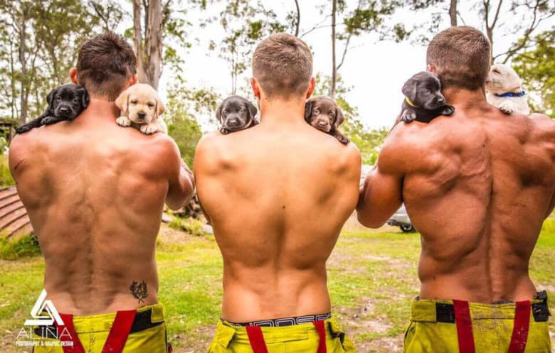 These Firefighters Are Stripping Down to Save Puppies