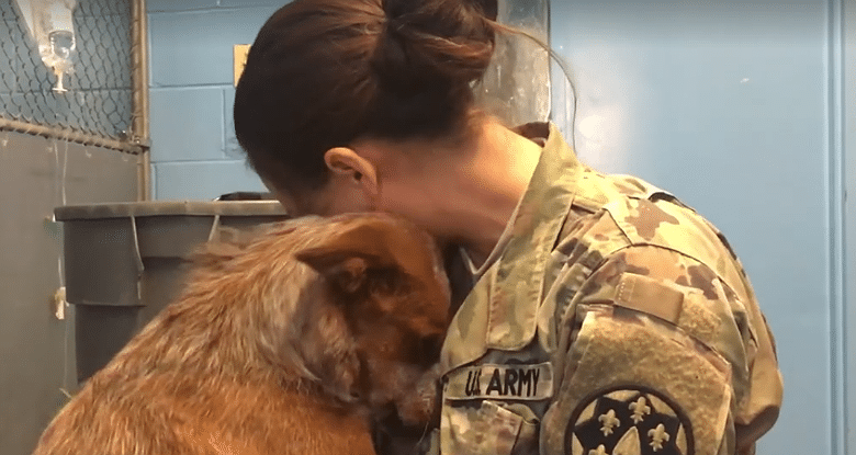 A U.S. soldier in uniform is embracing a missing dog, reuniting them.