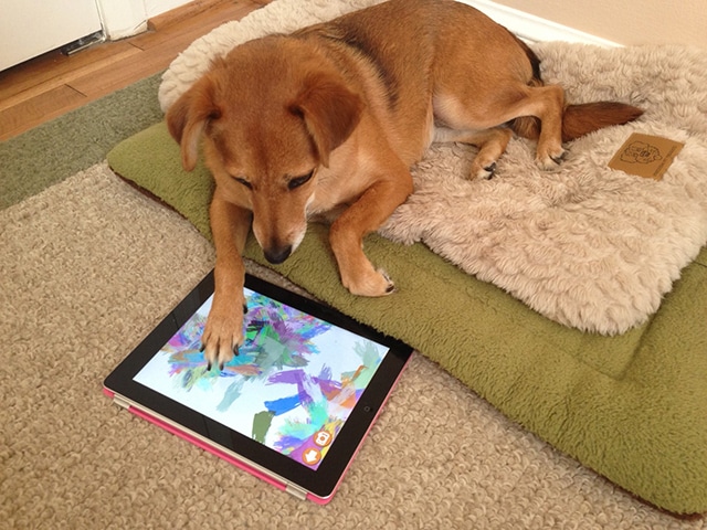 The App That Will Turn Your Dog Into a Picasso