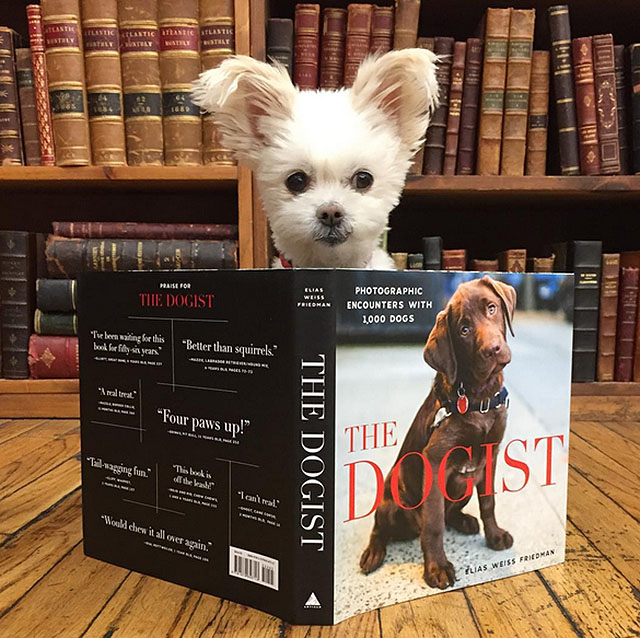 The World's Cutest Book Seller Resides at New York City's Iconic Strand Book Store