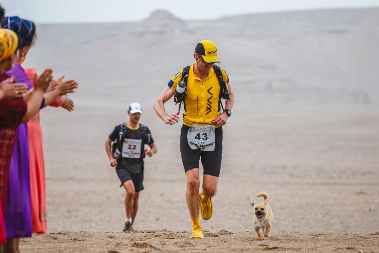 Runner Finds Perfect Racing Partner During 155-Mile Race: An Adorable Stray Dog