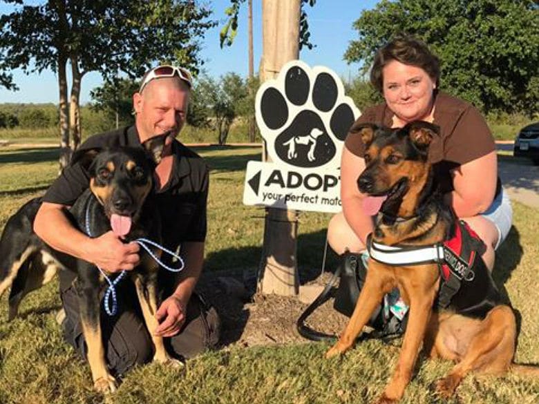 Dog Finds Home Thanks to Craigslist 'Missed Connection' Style Post
