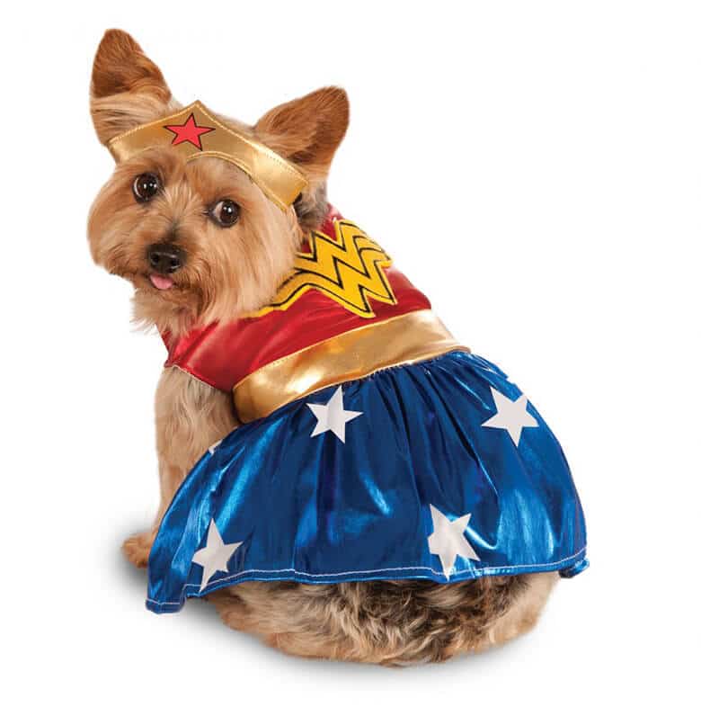 The Top Dog Halloween Costumes for 2017