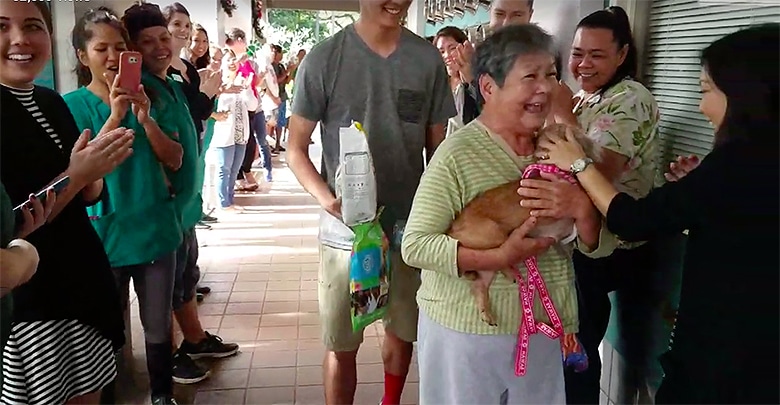 A woman is holding a dog at a special send-off event.