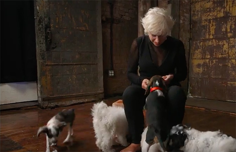 Helen Mirren is petting a group of puppies in a room.