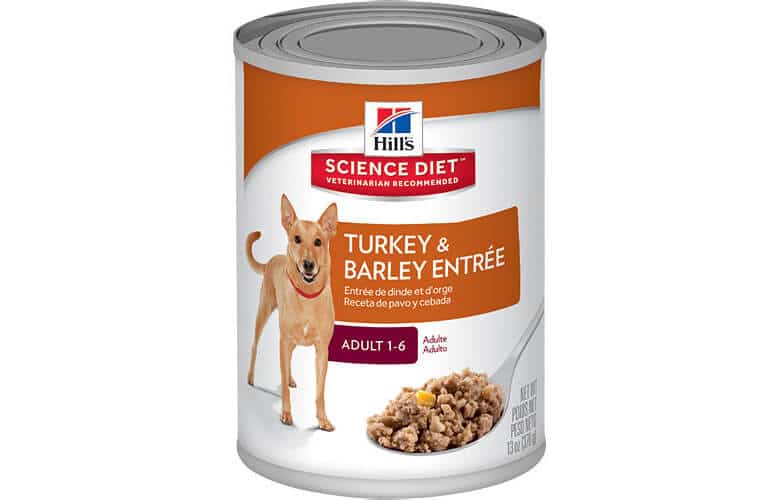 Hill's Science Diet Turkey & Barley Canned Dog Food.