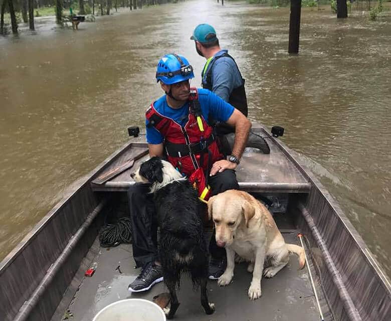 Two men in a boat with two dogs seeking help during Hurricane Harvey.