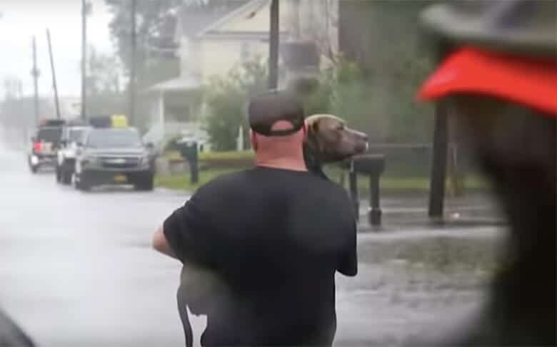 Heartwarming Stories of Dogs Being Rescued From Hurricane Florence