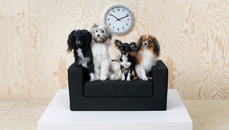 Ikea Rolls Out Modern Furniture Line for Dogs and Cats