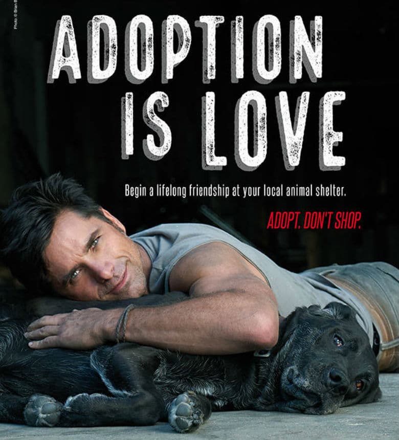 John Stamos Wants You to Find the Next Love of Your Life in a Shelter