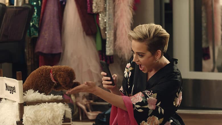 Katy Perry’s Dog Gets Her Own Commercial